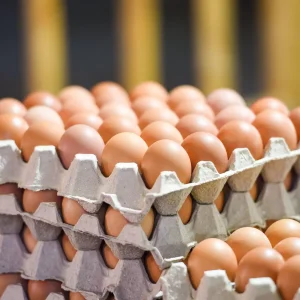 Huevos criollos