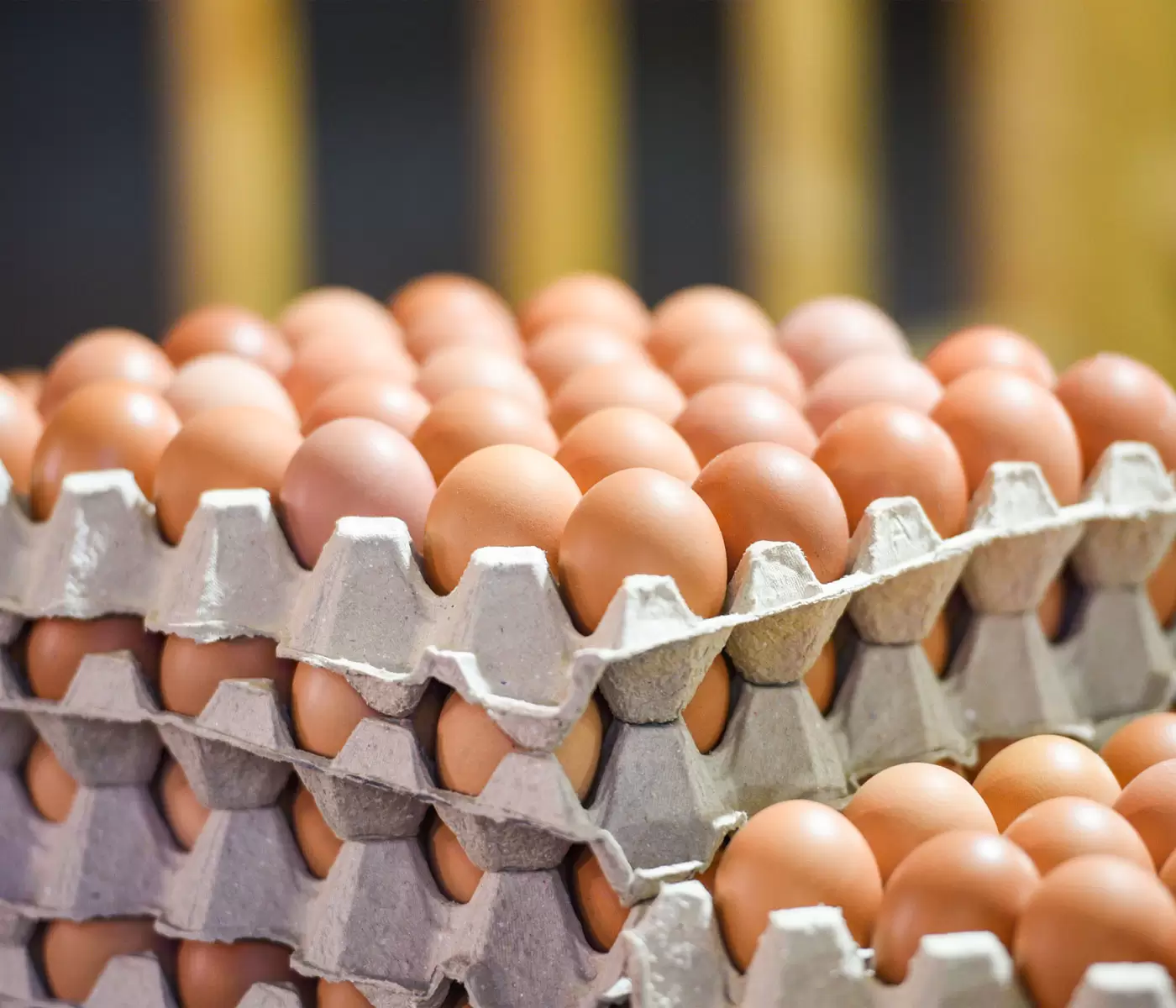 Huevos criollos