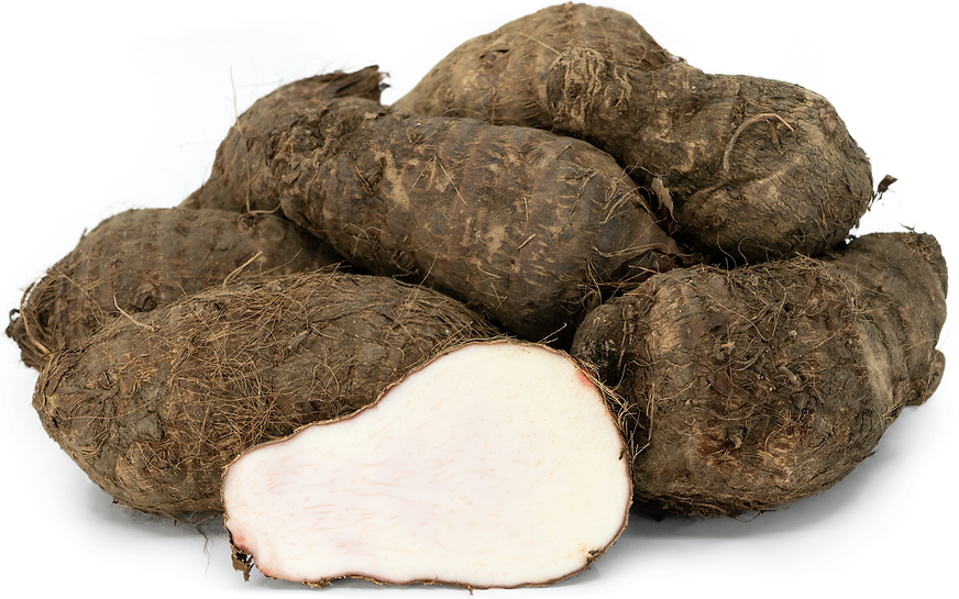 Malanga 1lb